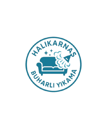 Bodrum Halikarnas Koltuk Yıkama