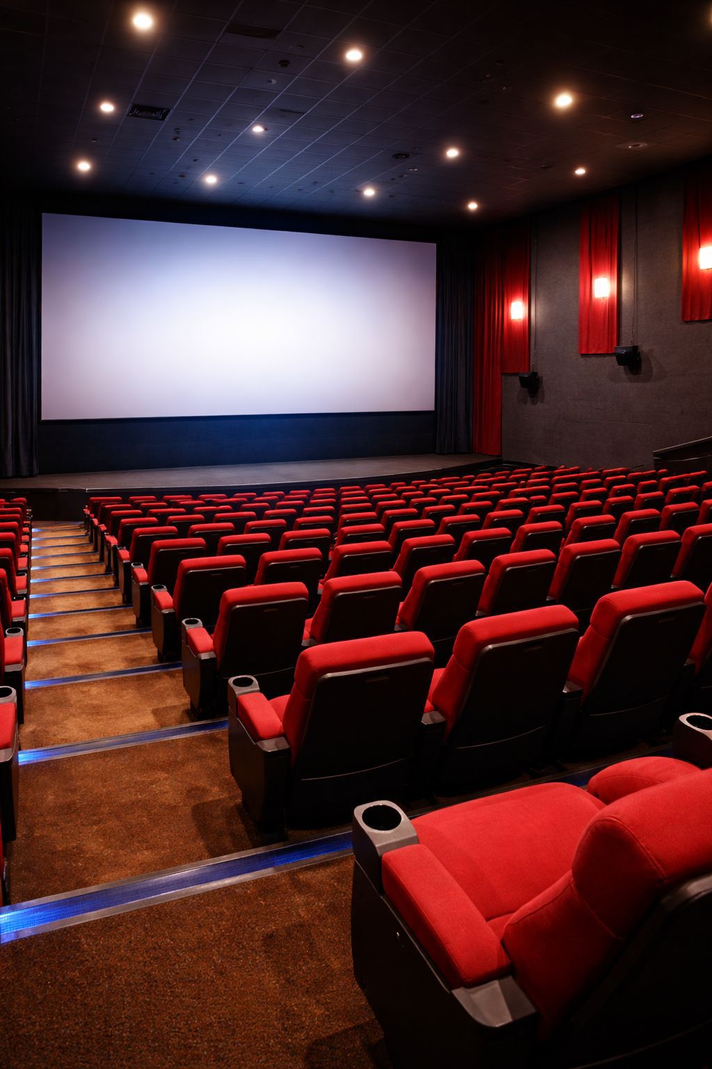 Kongre ve Sinema Salonları Temizliği